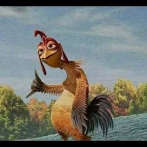 Meet your Posher, Isabella